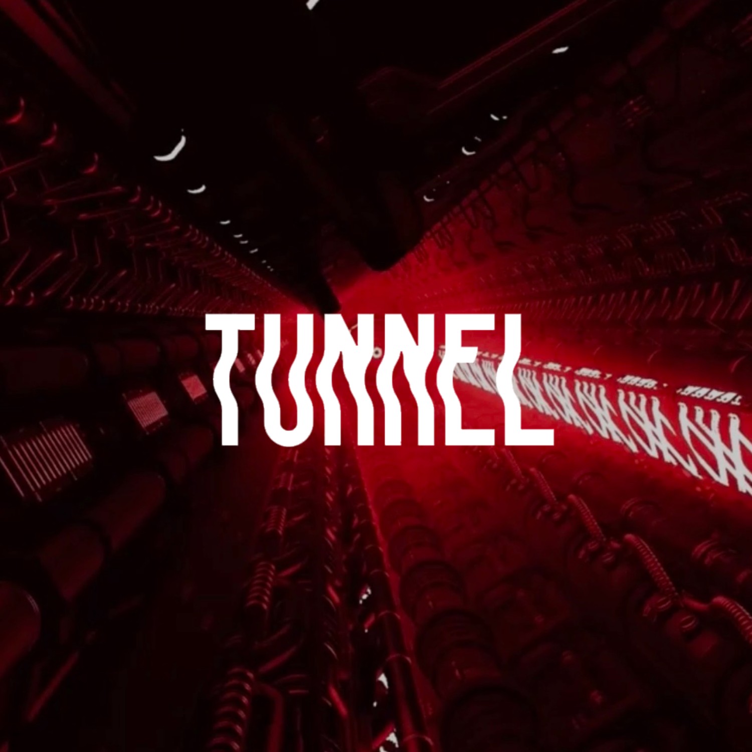 tunnel sala bikini